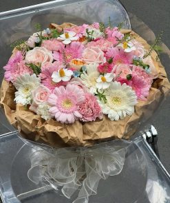 Gerbera Pastel Mix